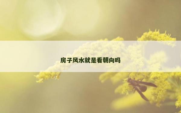 房子风水就是看朝向吗