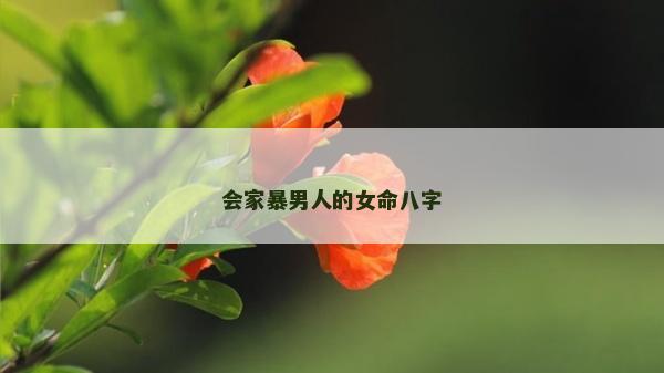 会家暴男人的女命八字
