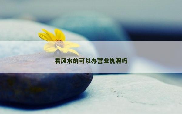 看风水的可以办营业执照吗