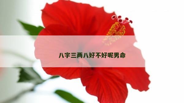 八字三两八好不好呢男命