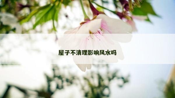 屋子不清理影响风水吗