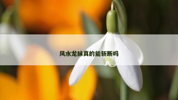 风水龙脉真的能斩断吗