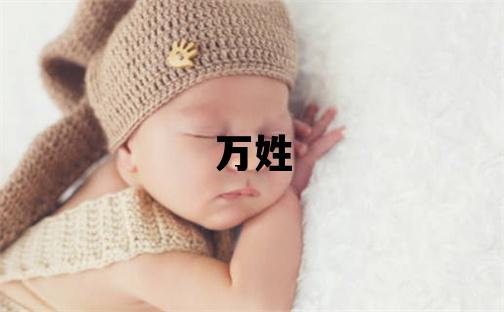 万姓有灵气的男孩名字,取什么名字好