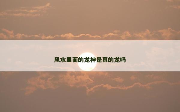 风水里面的龙神是真的龙吗