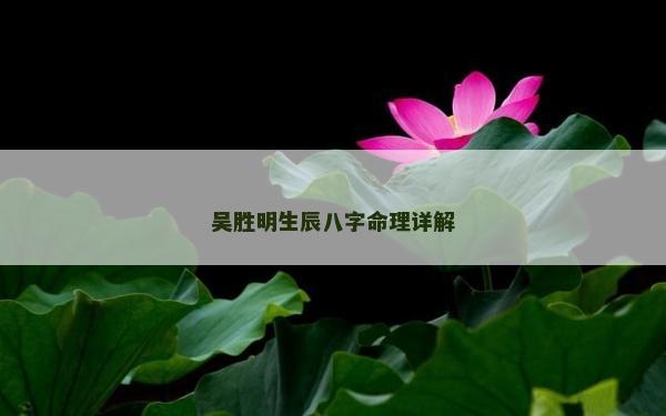 吴胜明生辰八字命理详解