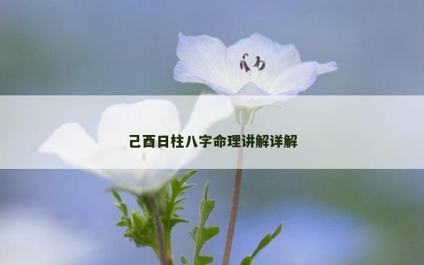 己酉日柱八字命理讲解详解