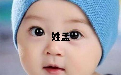 姓孟叫什么名字好 姓孟的男孩独特优美的名字