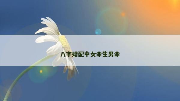 八字婚配中女命生男命