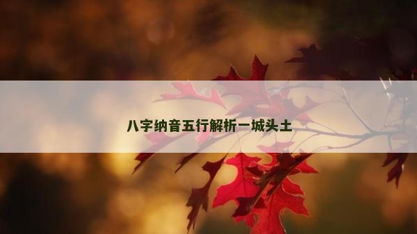 八字纳音五行解析一城头土