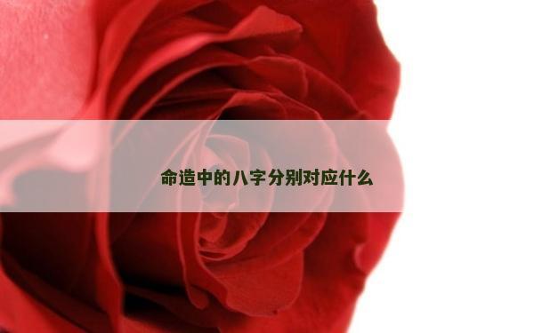 命造中的八字分别对应什么