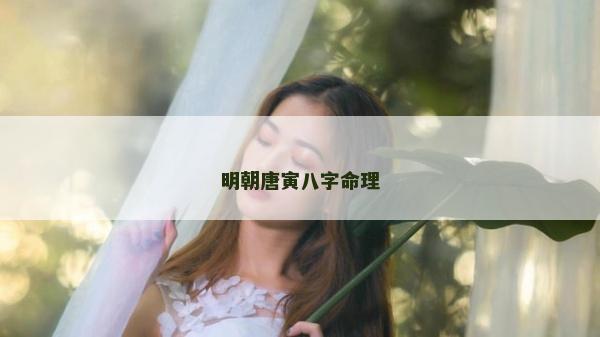 明朝唐寅八字命理