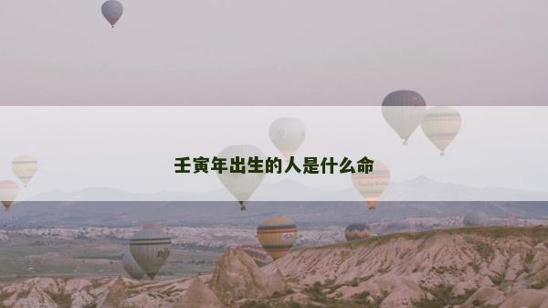 壬寅年出生的人是什么命