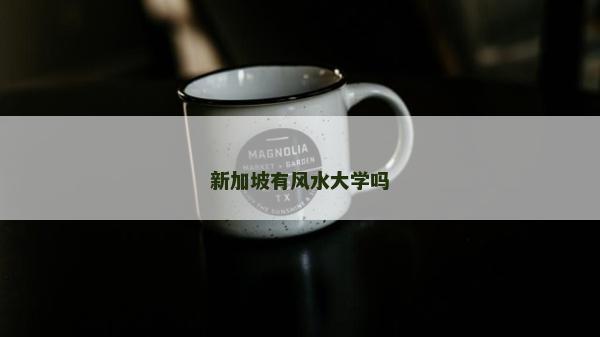 新加坡有风水大学吗