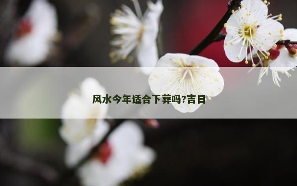 风水今年适合下葬吗?吉日