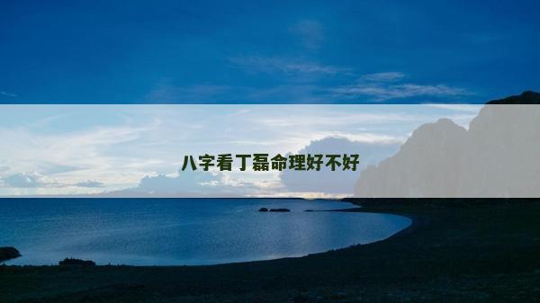八字看丁磊命理好不好