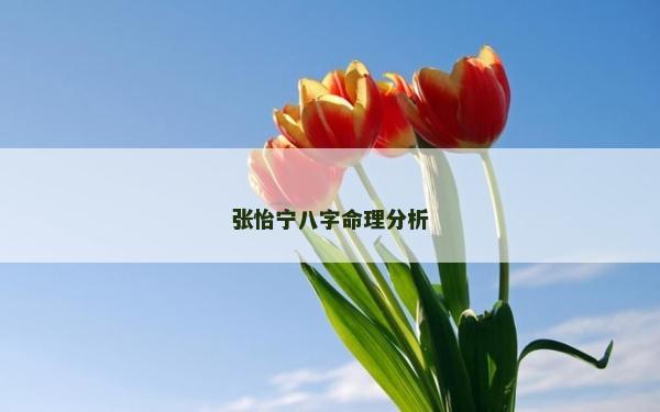 张怡宁八字命理分析