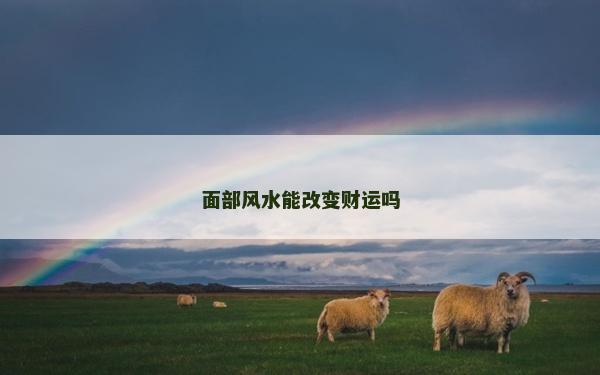 面部风水能改变财运吗