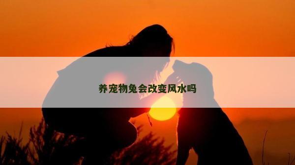 养宠物兔会改变风水吗
