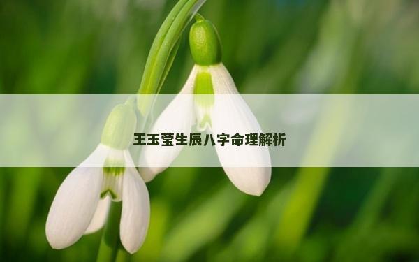 王玉莹生辰八字命理解析
