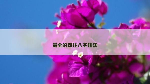 最全的四柱八字排法