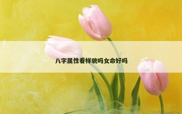 八字属性看样貌吗女命好吗