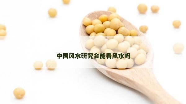 中国风水研究会能看风水吗
