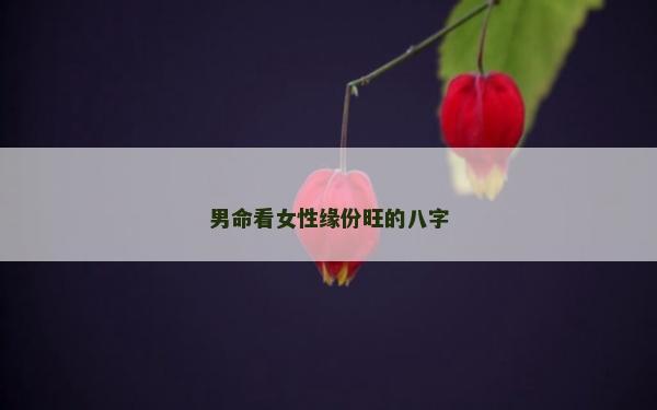 男命看女性缘份旺的八字