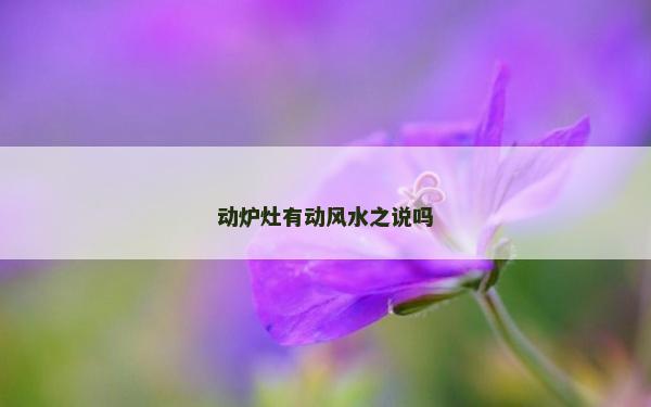 动炉灶有动风水之说吗