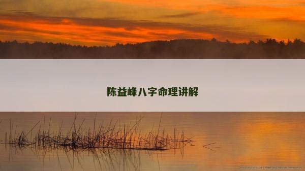 陈益峰八字命理讲解