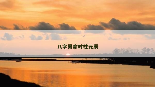 八字男命时柱元辰
