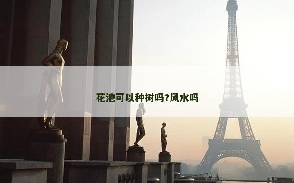 花池可以种树吗?风水吗