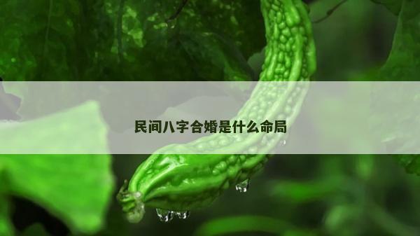 民间八字合婚是什么命局