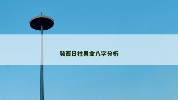 癸酉日柱男命八字分析