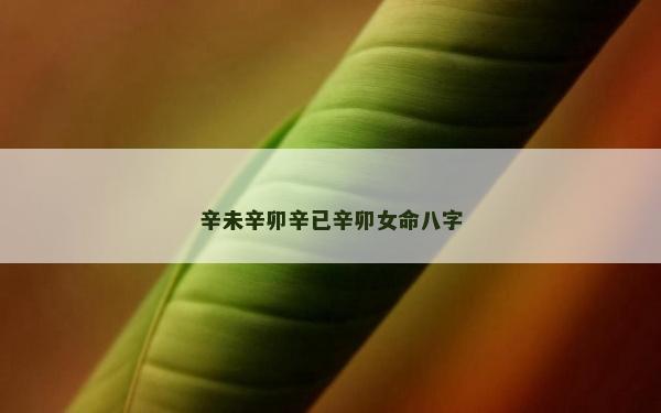 辛未辛卯辛已辛卯女命八字