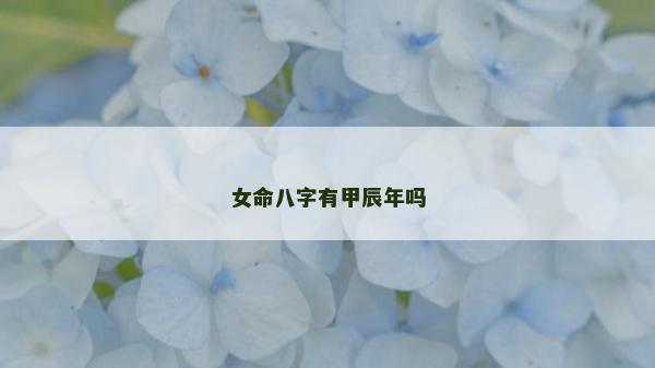 女命八字有甲辰年吗