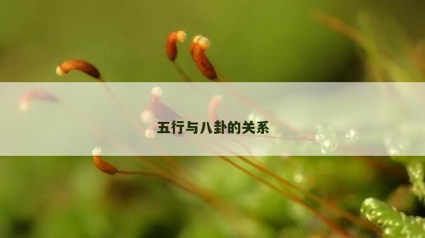 五行与八卦的关系