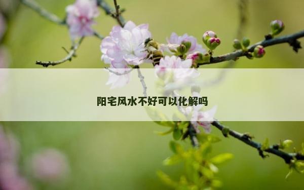 阳宅风水不好可以化解吗