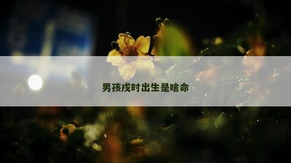 男孩戌时出生是啥命