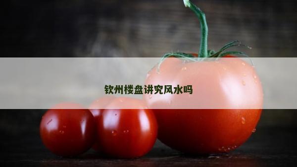 钦州楼盘讲究风水吗