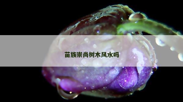 苗族崇尚树木风水吗