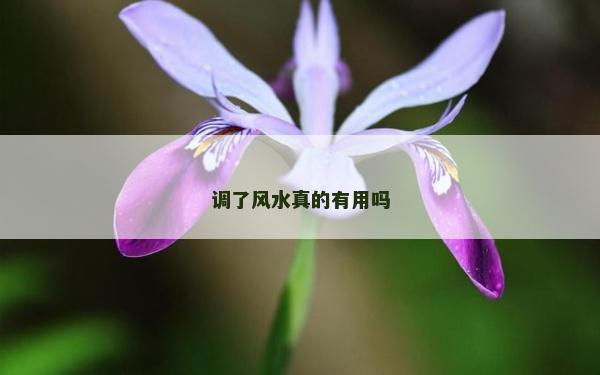 调了风水真的有用吗