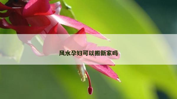 风水孕妇可以搬新家吗