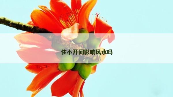 住小开间影响风水吗
