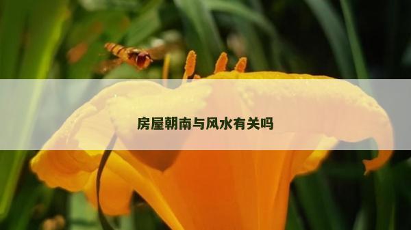 房屋朝南与风水有关吗