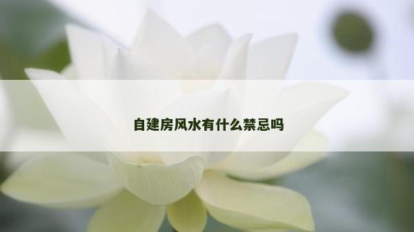 自建房风水有什么禁忌吗