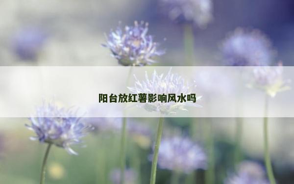 阳台放红薯影响风水吗