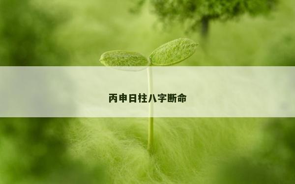 丙申日柱八字断命