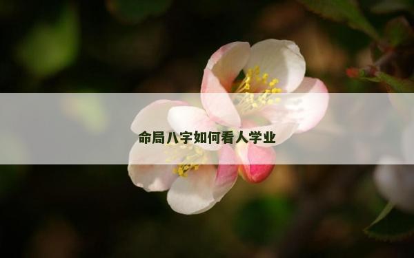 命局八字如何看人学业