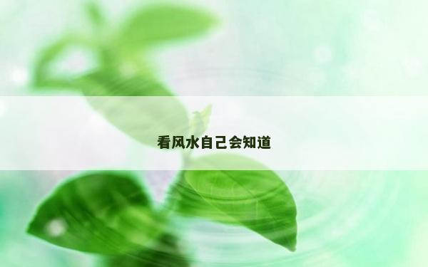 看风水自己会知道