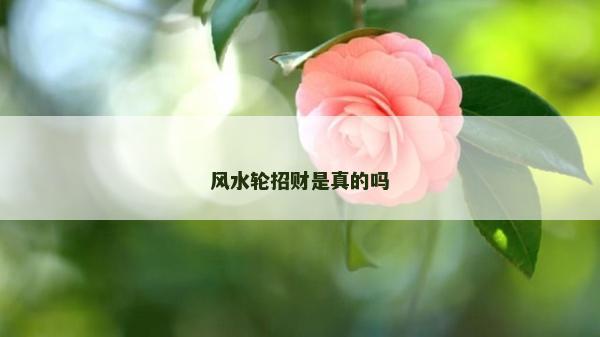 风水轮招财是真的吗